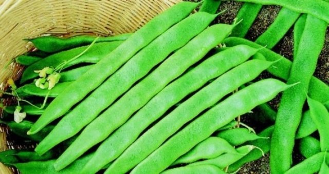 Böbreklere olan faydasının - yanında, kan şekerine uyguladığı - başarılı tempoyla iyi bir kilo kaybına - ve güçlü, sağlıklı, zinde bir bedene - sahip olmanızı sağlıyor.   Kaynak: FHM