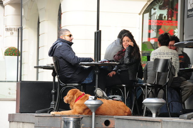 MAYA PORTAKAL, İBRAHİM BİTARGİL
