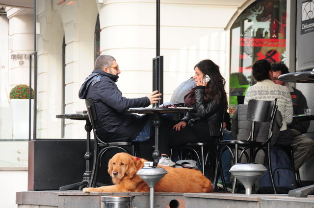 MAYA PORTAKAL, İBRAHİM BİTARGİL