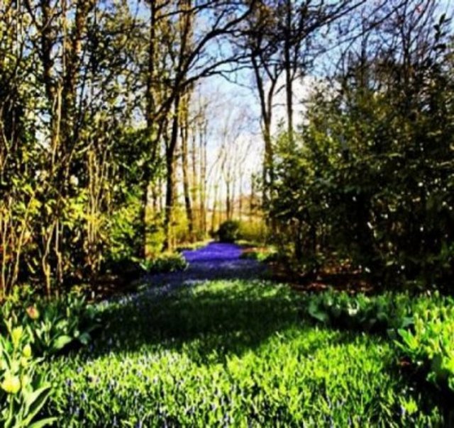 Cumhurbaşkanı Abdullah Gül, Hollanda'da çektiği fotoğraflar ile "kendisinin, eşi Hayrünnisa Gül'ün fotoğrafını çekerken" görüntülendiği bir fotoğrafı sosyal paylaşım sitesi Instagram'da takipçileriyle paylaştı.