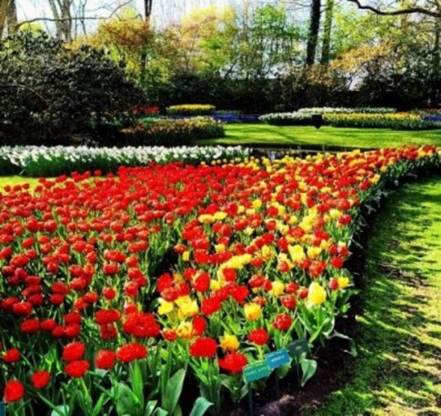 Cumhurbaşkanı Abdullah Gül, Hollanda'da çektiği fotoğraflar ile "kendisinin, eşi Hayrünnisa Gül'ün fotoğrafını çekerken" görüntülendiği bir fotoğrafı sosyal paylaşım sitesi Instagram'da takipçileriyle paylaştı.