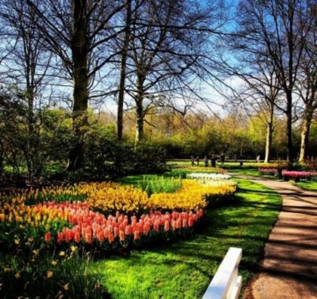 Cumhurbaşkanı Abdullah Gül, Hollanda'da çektiği fotoğraflar ile "kendisinin, eşi Hayrünnisa Gül'ün fotoğrafını çekerken" görüntülendiği bir fotoğrafı sosyal paylaşım sitesi Instagram'da takipçileriyle paylaştı.
