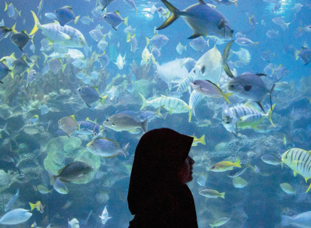 MALEZYA Malezya'nın gelişen ekonomisi sayesinde halk giderek daha fazla refah içinde yaşıyor. Abartılı lüksleriniz yoksa, zaruri ihtiyaçlarınıza harcayacağınız asgari tutarın dışında çok para harcamak isteseniz de mümkün görünmüyor. Müslümanlar çoğunlukta...  -