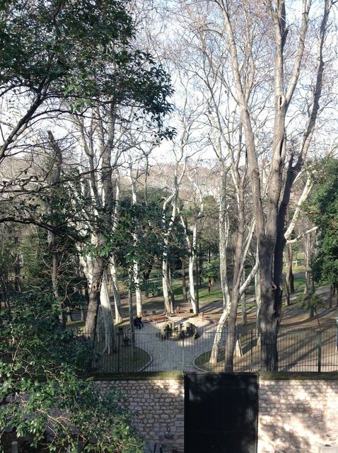 İstanbul Arkeoloji Müzesi'nin bahçesi Gülhane Parkı'na tepeden bakıyor. Ziyaretçi sayısının az olduğu günlerde, son yıllarda Sultanahmet'te ortaya çıkan papağan sürüsünün üyelerini ağaç dallarında görebiliyorsunuz.
