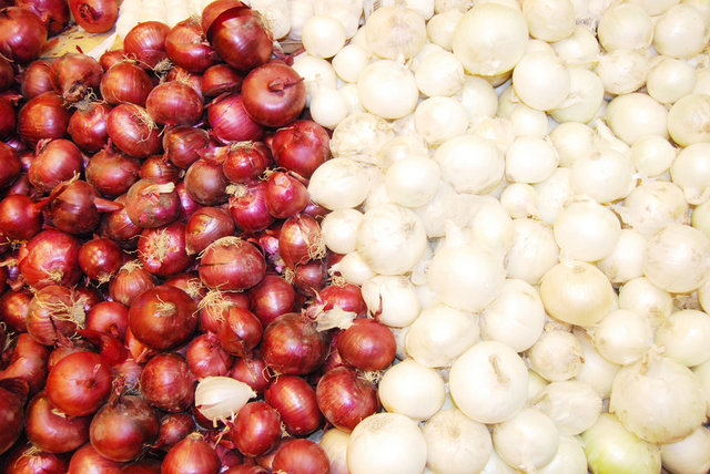 -  -  -  - Böbrek sancıları, böbrek taşlarına iyi geldiği gibi idrar söktürücü özelliği de vardır