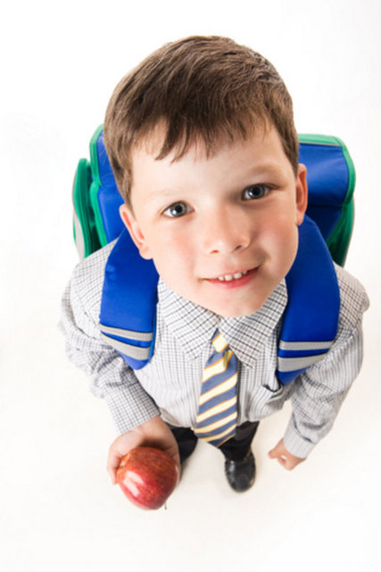 Elmada bulunan bir takım etken maddeler kanser hücrelerinin çoğalmasını engelliyor. Yani kanserden koruyucu özelliğe sahip. Yapılan araştırmalarda özellikle kalın bağırsak ve meme tümörleri üzerinde olumlu etkileri olduğu görülüyor