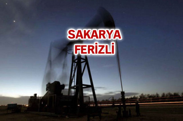 Bu izin sonrasında Sakarya genelinde sondaj kuyuları ile doğalgaz aramasına başlandı. Aramalar sonucunda Söğütlü'de 400, Ferizli ve Serdivan'da ise 450 metre derinlikte doğalgaz bulundu.