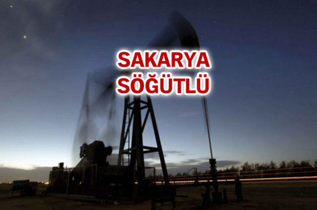Sakarya'da özel bir firma tarafından yapılan sondaj çalışmaları sonucu Söğütlü, Serdivan ve Ferizli ilçelerinde 400 ve 450 metre derinlikte doğalgaz bulundu.