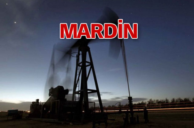 Enerji Bakanı Taner Yıldız, haritada belirlenen bölgeler ile petrol tespit edilen yerlerin şaşırtıcı derecede aynı olduğunu açıklamıştı.