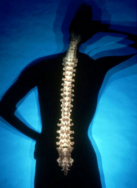 Kemiklere faydası olur. Osteoporozda faydalıdır.