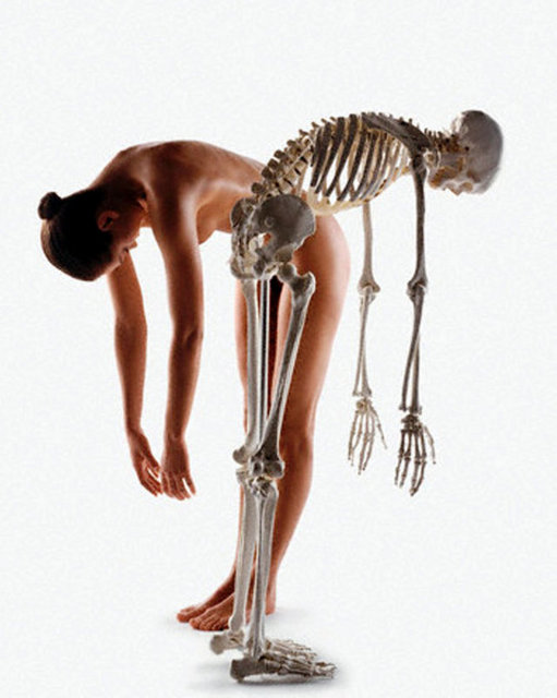 Çok düşük oranda kafein içerdiği için, kafeinin zararlı etkilerinden korunmayı sağlar.