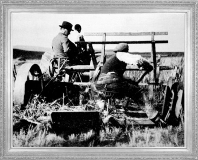 Mustafa Kemal,Ankara'da Orman Çiftliği'ni geziyor (1929)