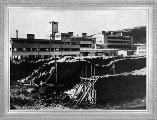 İzmit'te I nci Kağıt ve Karton Fabrikası. (Hizmete Açılışı-6 Kasım 1936)