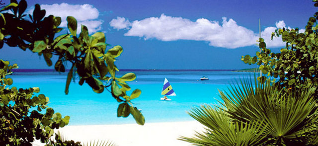 KOSTA RİKA: Bol güneş ışığı sayesinde D vitamini depoluyor ve sağlıklı besleniyorlar.