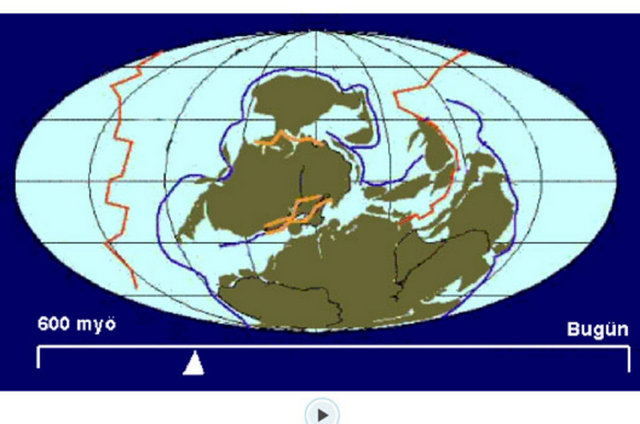 Rodinia varken hayvan bulunmamaktaydı. Ancak bitkiler vardı, ozon tabakası ve atmosfer vardı. Ancak ilk hayvanlar Rodinia'nın parçalanmasından 208 milyon yıl sonra ortaya çıkmıştır.