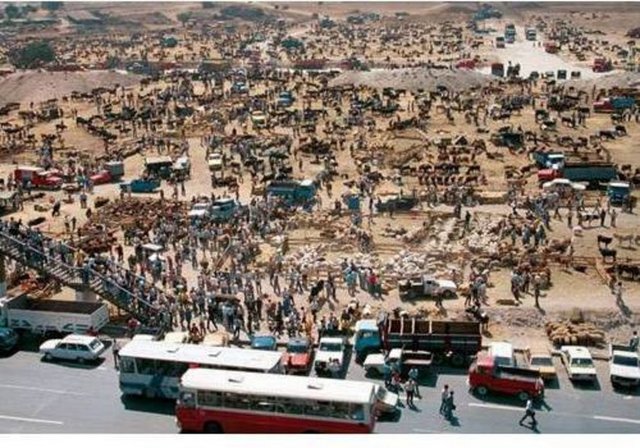 Fotoğrafta bugün çok katlı binaların, metro istasyonunun yer aldığı Şirinevler'in karşısındaki Ataköy 7. ve 8. kısımların bulunduğu 1985 yılında çekilmiş fotoğraf görülüyor... Bir kurban pazarı...