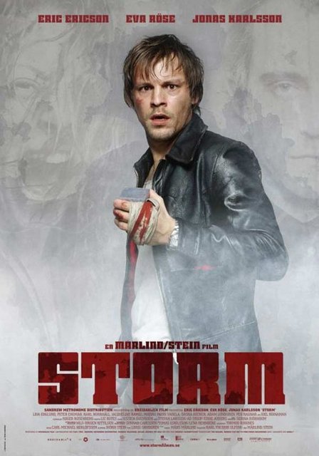 15-Storm (2005)  -  - Sonradan Hollywood'un yolunu tutan İsveçli Måns Mårlind-Björn Stein ikilisinin yüksek ana akım anlatı yetisiyle yürüyen gizemli ve karizmatik bir sanal gerçeklik bilimkurgusu... Yeşilin tonlarında yol alırken tempo ve dinamizmi de unutmayan, merak uyandıran kutu kullanımıyla ise kendini sevdiren bir izlence aynı zamanda... "Storm", "Matrix"in yolunu izleyen yeni milenyum bilimkurgularından biri.