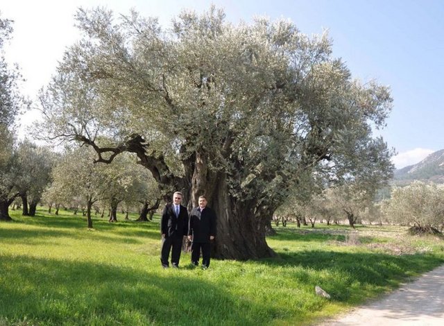 1881; Mustafa Kemal Atatürk'ün doğumu,  1912-1913; Balkan Savaşları,  1914-1918; Birinci Dünya Savaşı, 27 Mayıs 1919-8 Eylül 1923; Manisa, Yunan işgali altında kaldı