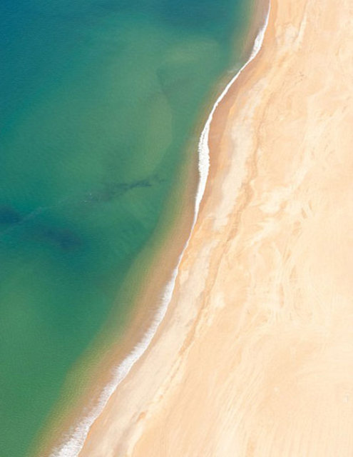 Örnek olarak 1928 de kumulun çevresine yerleşen Bordeaux'lu bir ailenin evi, 2 sene içinde kumulun istilasına uğradı.