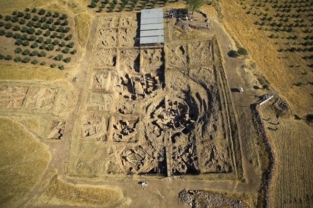 Yerleşik hayata geçişi temsil eden buğdayın atasına Göbeklitepe eteklerinde rastlanmıştır.