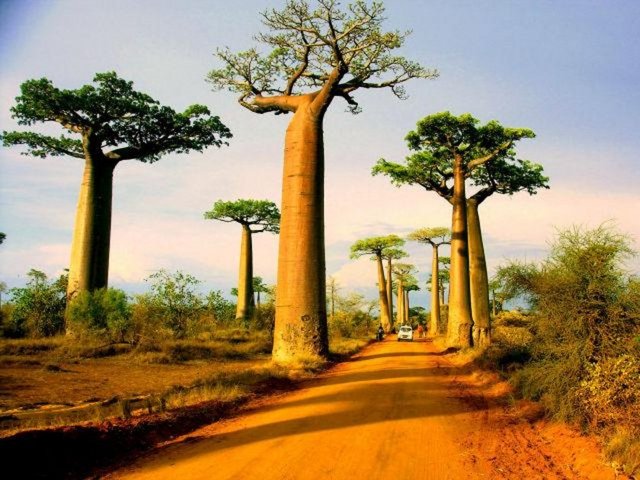Morondava, Madagaskar