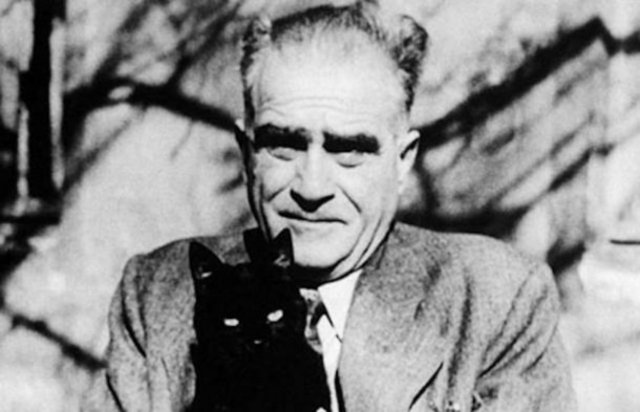 Ahmet Hamdi Tanpınar'ın en bilinen fotoğrafında  da bir kedi var...