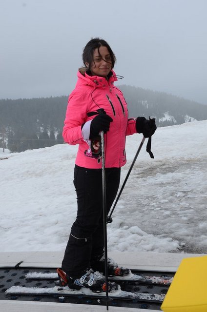 MAYA PORTAKAL