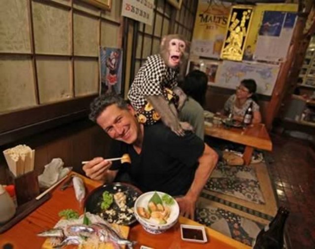 Monkey Restaurant (Japonya)