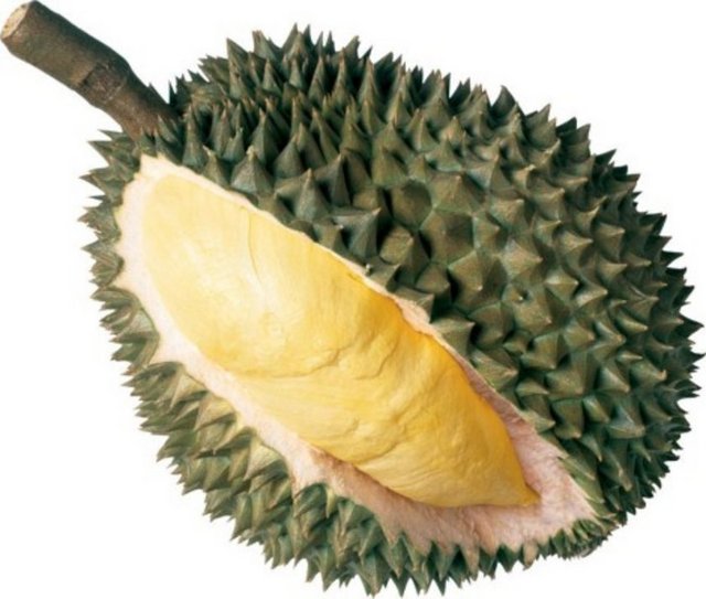 Durian meyvesi