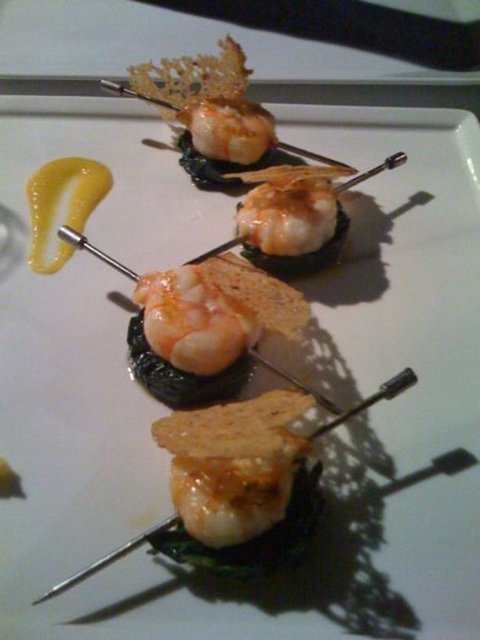 Moreton Körfezi böceği