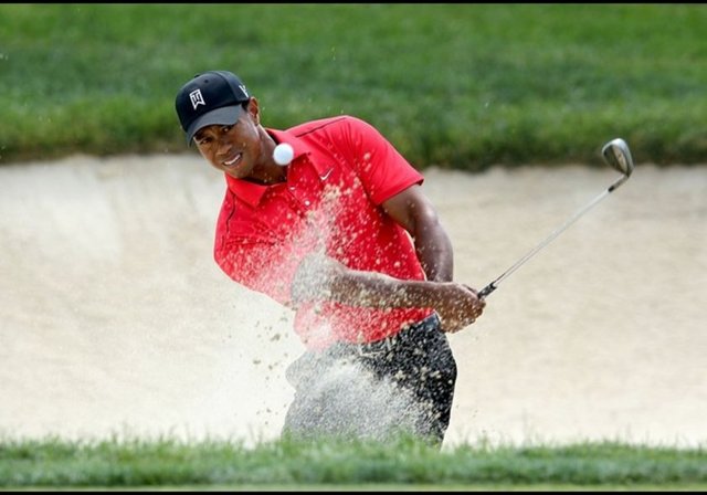 3 Tiger Woods (Golf) Toplam Kazanç: 59.4 milyon dolar