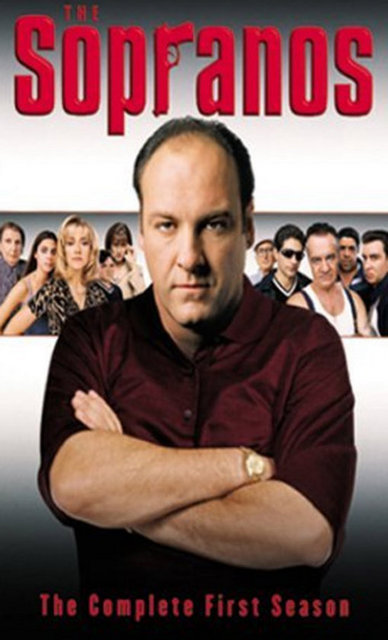8-The Sopranos:  David Chase'in yapımcılığını üstlendiği, 1999-2007 yılları arasında Amerikan HBO televizyonunda yayınlanmış dizidir. Dizinin konusu New Jersey'de bir Amerikan-İtalyan mafya ailesi patronu Tony Soprano'nun meslek, suç, şiddet, aile, adalet ve dostluk kavramları arasındaki denge kurma mücadelesi üzerine kurulmuştur.