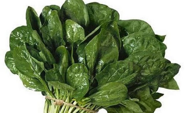 Başka bir akıllı kullanımı ise çözülmüş ve doğranmış dondurulmuş ıspanağın içine hindi burger veya köfte eklemektir.