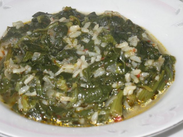 Ispanak: Göz sağlığı ve bakışları keskinleştirmek için gerekli