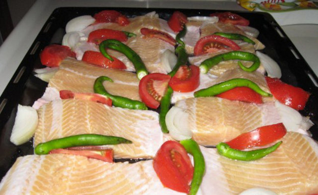 Somon gibi yağlı balıklar iyi birer omega 3 kaynağıdır ve bu yağların bebek ve çocuklarda bilişsel işlevi artırıcı etkisi vardır.