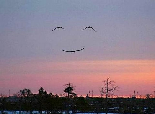 "Tanrı'yı güldürmek istersen, ona gelecek ile ilgili planlarından bahset."