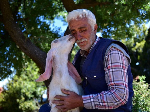 Ciğerimin köşesi "The corner of my liver"