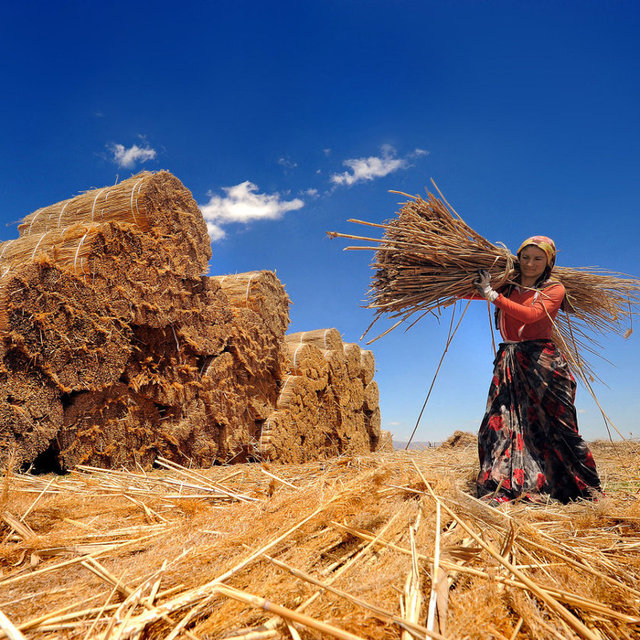 Taş attı da kolu mu yoruldu? "Did he throw a stone so his arm got tired?"