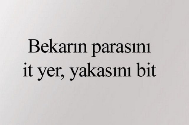 Aykırı atasözleri