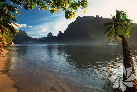 Moorea- Fransız Polinezyası