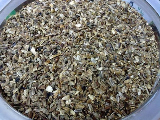 Eğer ilaç kullanıyorsanız karaciğeri yormamak için beraberinde deve dikeni (milk thistle) veya hindibağ işe yarayabilir.