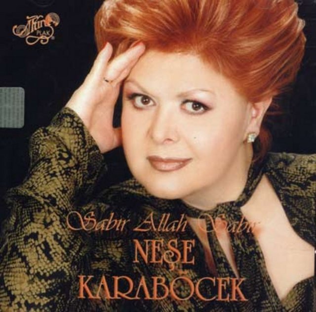 Neşe Karaböcek