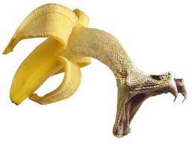 Bir de GDO'lu gıdalar var. Bunlar ve trans yağların aşırı tüketilmesi üreme dahil vücuttaki her şeyi bozuyor." -