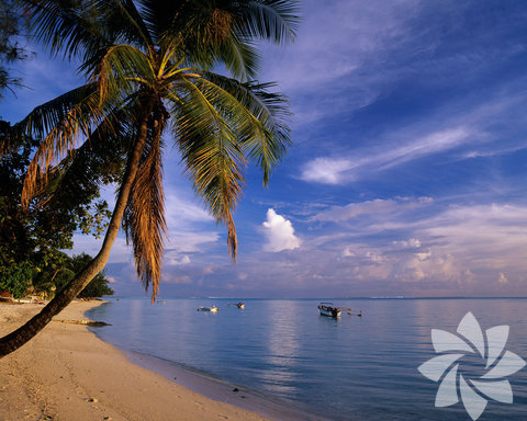 En iyi Plaj: Matira Plajı- Bora Bora 