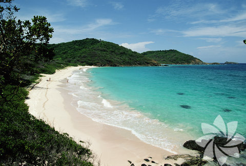 En egzotik plaj: Mustique- Saint Vincent ve Grenadinler