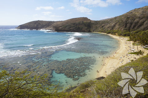 En iyi macera plajı:Snorkeling in Hanauma Bay- Oahu 