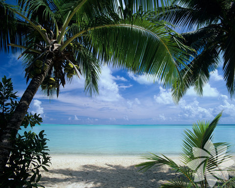 En romantik plaj: Matira plajı- Bora Bora