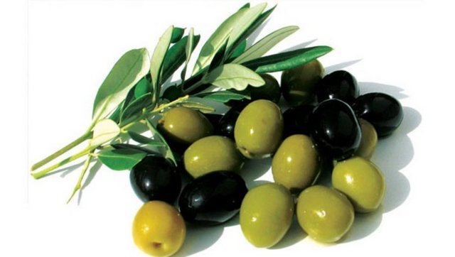 Az tuzlu 8-10 zeytin.