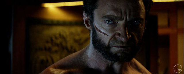 The Wolverine