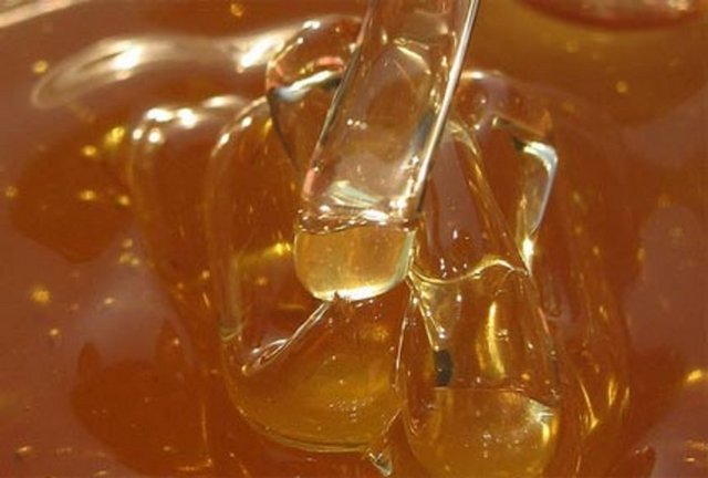 -Gönen Çelik Borka Deva Gıda Koz. Tar. Ürn. Paz. San. Tic. A.Ş.